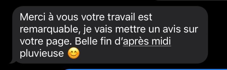 Avis client nettoyage voiture à domicile BailleulNaraClean